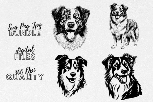 Australian Shepherd SVG - Aussie Dog